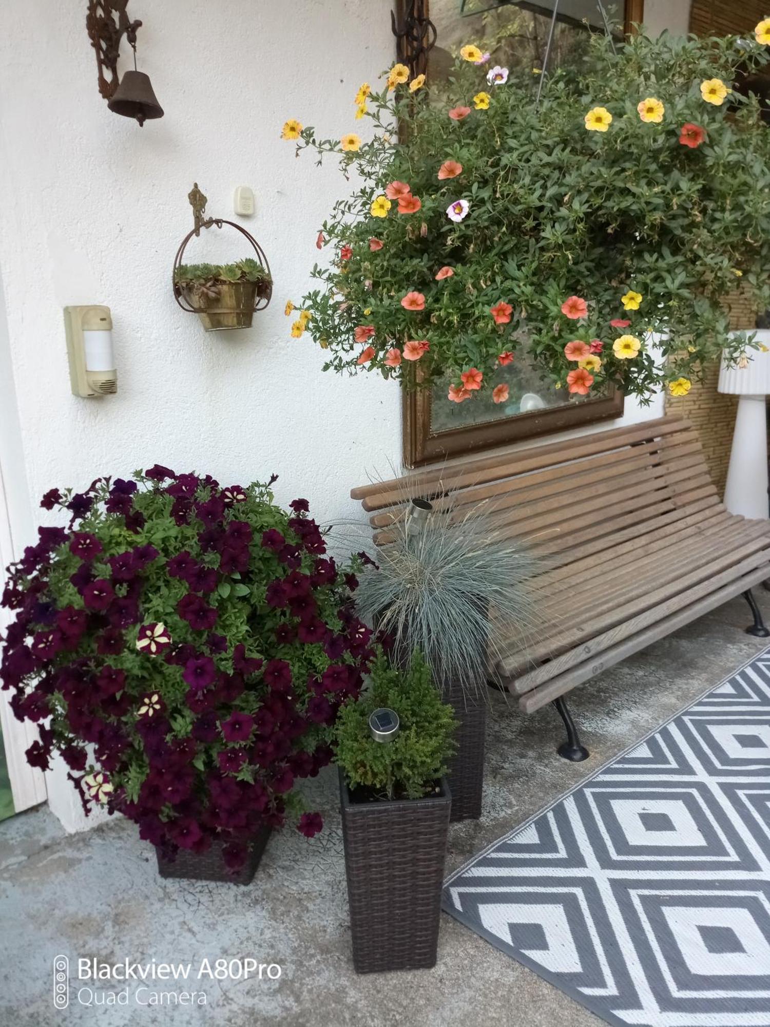 Chambre Bounty, B&B, Cuisine Privee, Lit Queen Size, Terrasse, Parking, Garage Olliergues Dış mekan fotoğraf